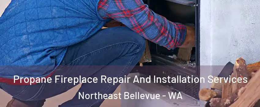 Propane Fireplace Repair And Installation Services Northeast Bellevue - WA