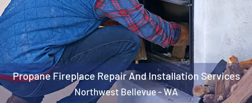 Propane Fireplace Repair And Installation Services Northwest Bellevue - WA