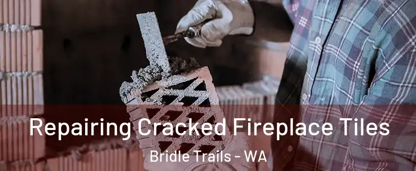 Repairing Cracked Fireplace Tiles Bridle Trails - WA