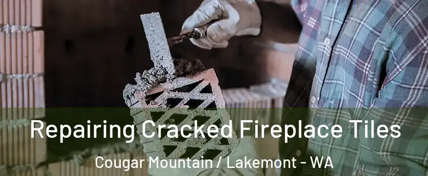 Repairing Cracked Fireplace Tiles Cougar Mountain / Lakemont - WA