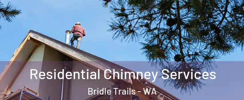 Residential Chimney Services Bridle Trails - WA