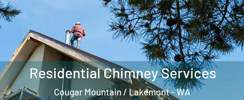 Residential Chimney Services Cougar Mountain / Lakemont - WA