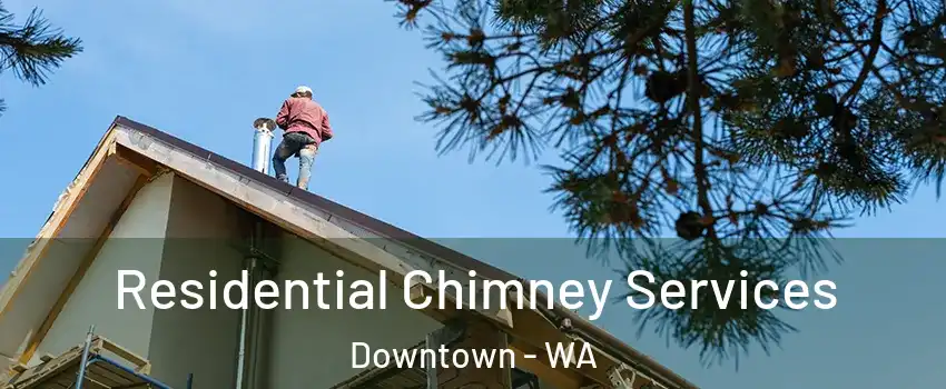 Residential Chimney Services Downtown - WA