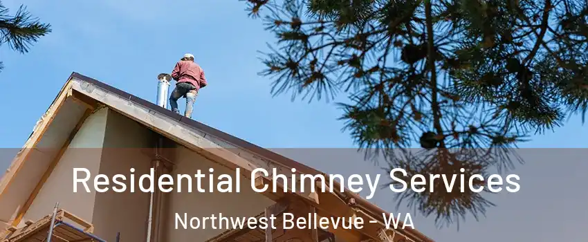 Residential Chimney Services Northwest Bellevue - WA