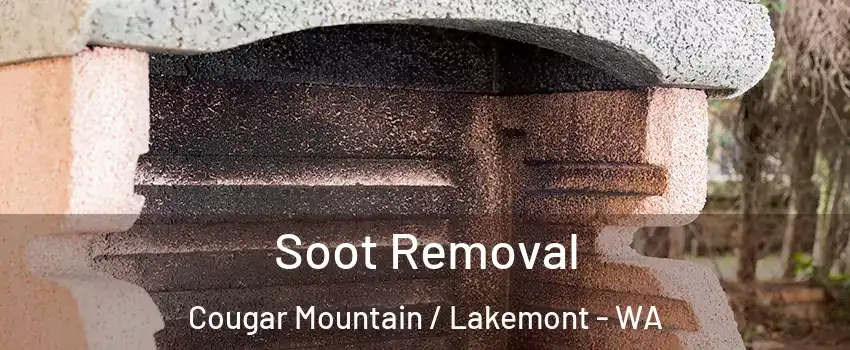 Soot Removal Cougar Mountain / Lakemont - WA