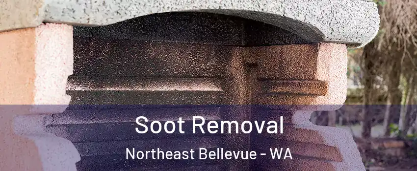 Soot Removal Northeast Bellevue - WA