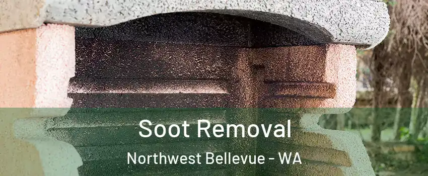 Soot Removal Northwest Bellevue - WA