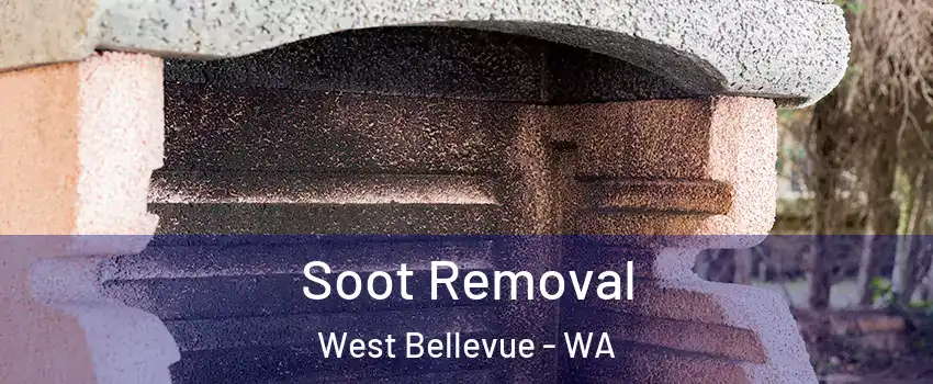 Soot Removal West Bellevue - WA