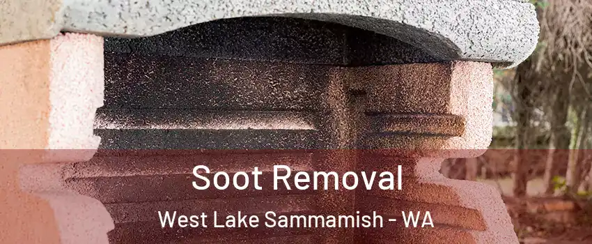 Soot Removal West Lake Sammamish - WA