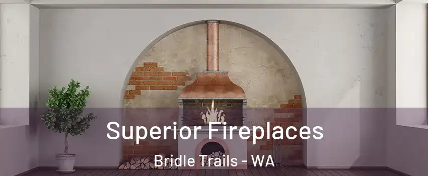 Superior Fireplaces Bridle Trails - WA