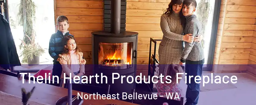 Thelin Hearth Products Fireplace Northeast Bellevue - WA