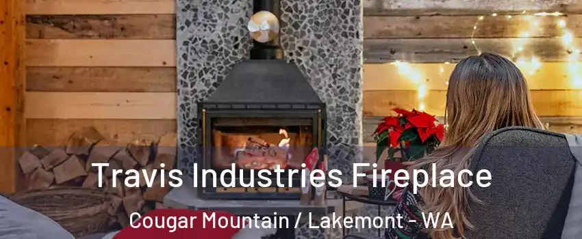 Travis Industries Fireplace Cougar Mountain / Lakemont - WA