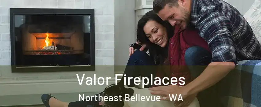 Valor Fireplaces Northeast Bellevue - WA