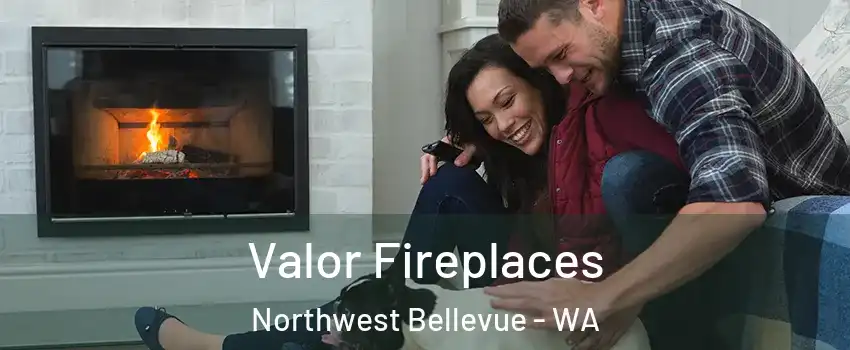 Valor Fireplaces Northwest Bellevue - WA