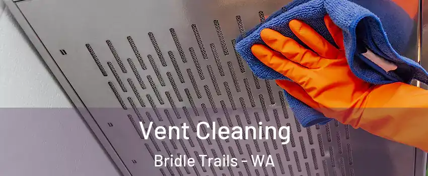 Vent Cleaning Bridle Trails - WA