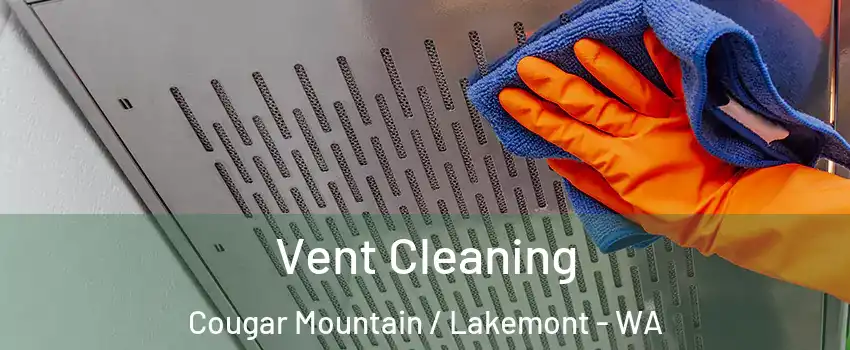 Vent Cleaning Cougar Mountain / Lakemont - WA