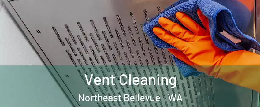 Vent Cleaning Northeast Bellevue - WA