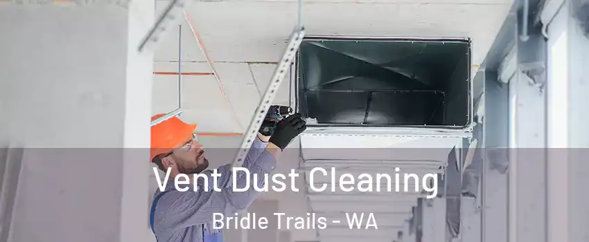 Vent Dust Cleaning Bridle Trails - WA