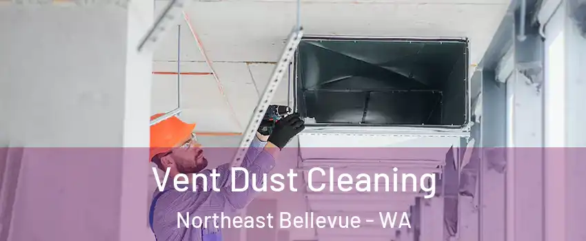 Vent Dust Cleaning Northeast Bellevue - WA