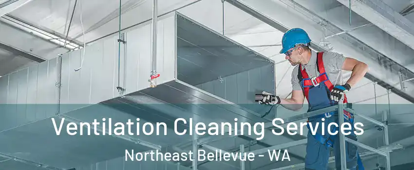 Ventilation Cleaning Services Northeast Bellevue - WA