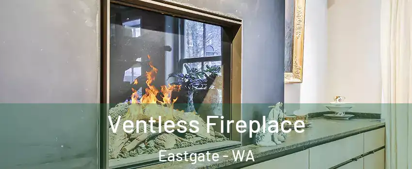 Ventless Fireplace Eastgate - WA