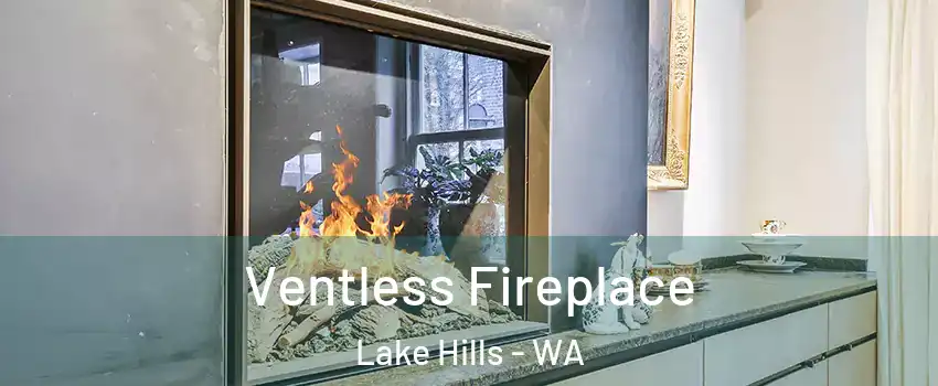 Ventless Fireplace Lake Hills - WA