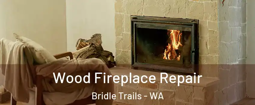 Wood Fireplace Repair Bridle Trails - WA