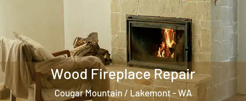 Wood Fireplace Repair Cougar Mountain / Lakemont - WA