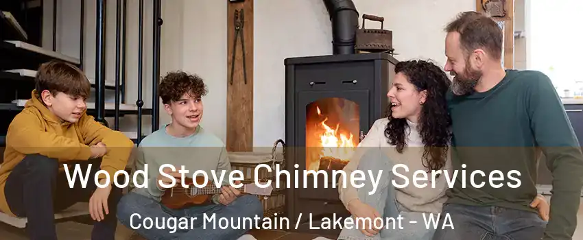 Wood Stove Chimney Services Cougar Mountain / Lakemont - WA