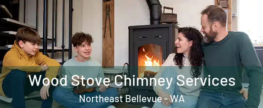 Wood Stove Chimney Services Northeast Bellevue - WA