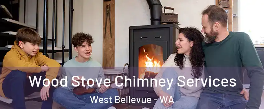 Wood Stove Chimney Services West Bellevue - WA