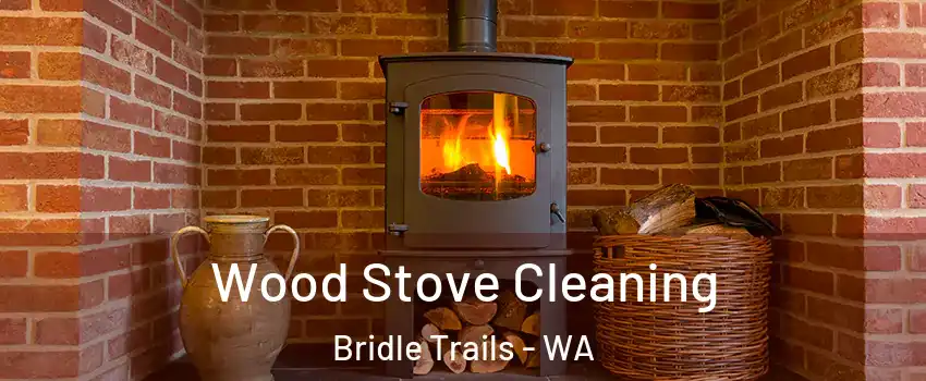 Wood Stove Cleaning Bridle Trails - WA