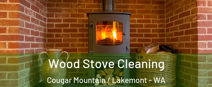 Wood Stove Cleaning Cougar Mountain / Lakemont - WA