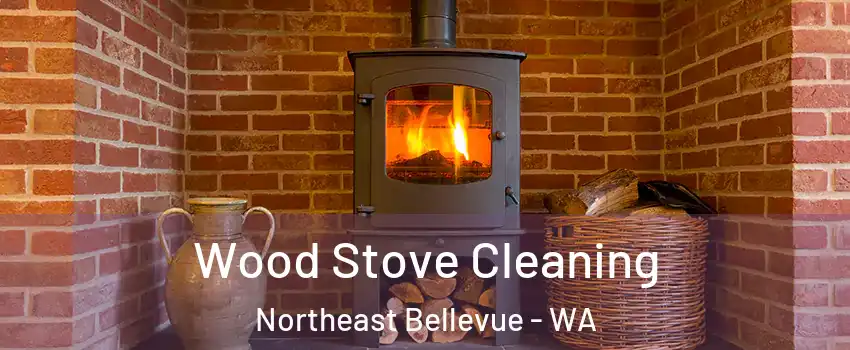 Wood Stove Cleaning Northeast Bellevue - WA