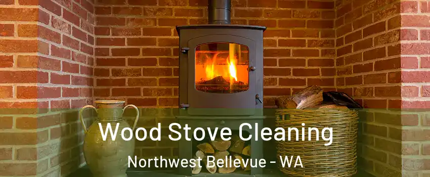 Wood Stove Cleaning Northwest Bellevue - WA