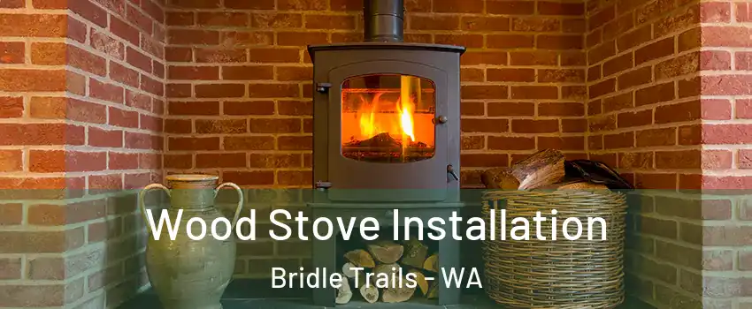 Wood Stove Installation Bridle Trails - WA