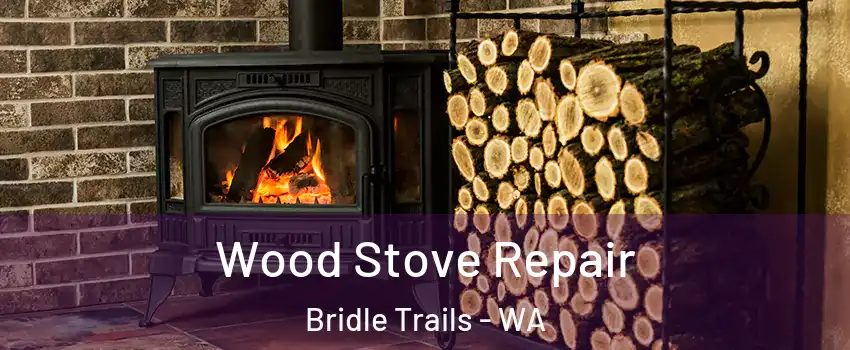 Wood Stove Repair Bridle Trails - WA