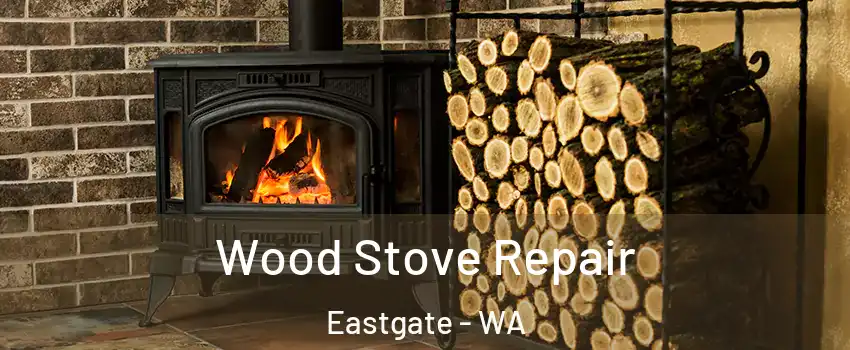 Wood Stove Repair Eastgate - WA