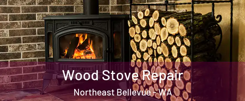 Wood Stove Repair Northeast Bellevue - WA